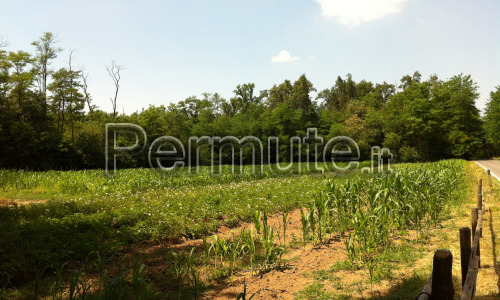 Besnate (VA) Terreno agricolo 9.000 mq. circa