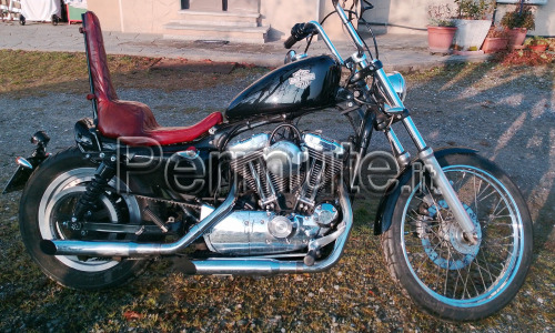 Sportster 1200 del 2004