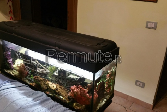 Acquario 100 litri con mobile - Accessori per animali In vendita a Piacenza